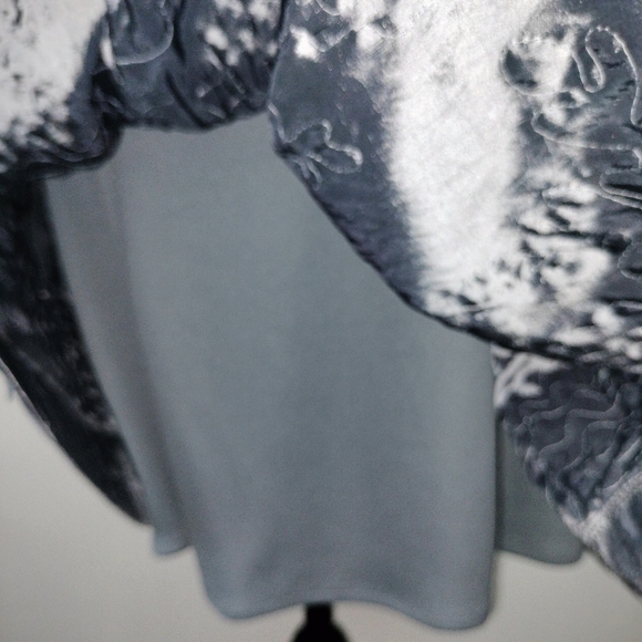 NWT R & M Richards Iridescent Silver Embroidered Fit & Flare Midi Dress Sz. 6 - Picture 7 of 14